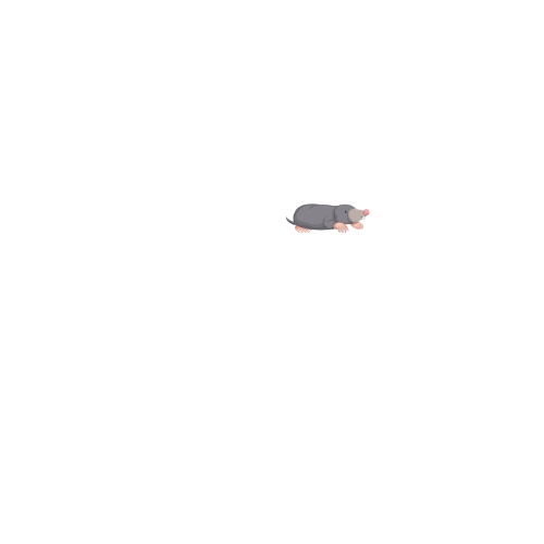 Skraft